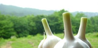 7 mẹo nhỏ làm đẹp với tỏi