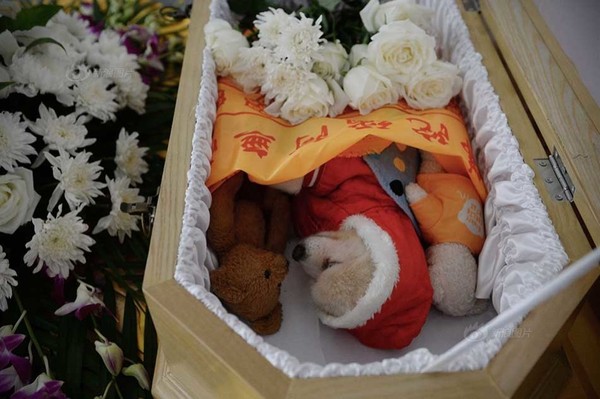 Tổ chức lễ tang long trọng cho một chú chó gây bão