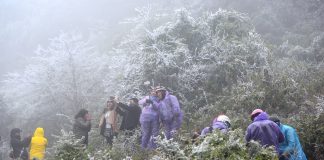 Khách du lịch lên Sapa ngắm băng tuyết