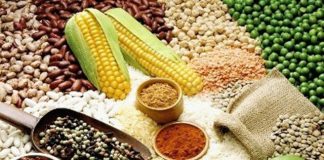 Thức ăn thô là liều thuốc bổ cho hệ tiêu hóa. (Ảnh minh họa).