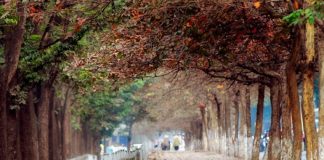 7 địa điểm chụp ảnh tuyệt đẹp ở Hà Nội vào mùa hè