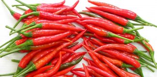 Bí quyết giảm đau hiệu quả từ quả ớt