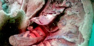 “Bất ngờ” xác ướp 1.500 tuổi đi giày sành điệu… Adidas?