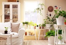 10 cách trang trí nhà mùa hè sáng tạo và kinh tế 