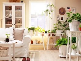 10 cách trang trí nhà mùa hè sáng tạo và kinh tế 