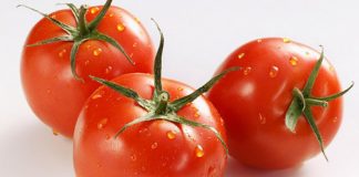 Những nhóm thảo dược giúp điều trị bệnh xương khớp - 4