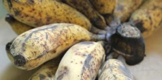 Cách nấu chè chuối 