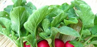 9 loại thực phẩm giúp bạn tăng cường sự vận động