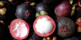 măng cụt trị mụn 