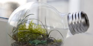  Trang trí bóng đèn cực chất cho căn phòng thêm sinh động