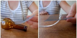 3 các tự ươm trồng cây xanh tại nhà