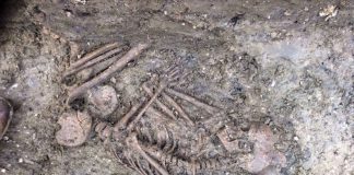 Rùng rợn: Phát hiện bộ xương trẻ em trong tư thế một bào thai