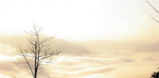 Những địa danh tuyệt đẹp để chụp ảnh cưới