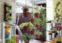 9 cách đơn giản tạo vườn đứng xanh mát cho nhà mùa hè 1