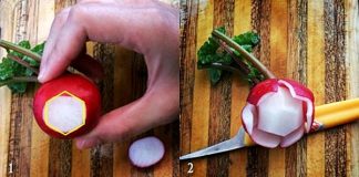 5 cách tỉa củ quả dễ thương và dễ ứng dụng