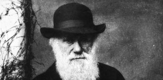 Vì sao người xưa không bao giờ cười khi chụp ảnh?