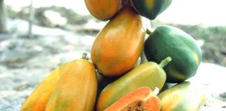 đu đủ làm đẹp 