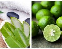 Điều kỳ diệu sẽ xảy ra nếu bạn dùng nha đam trị mụn