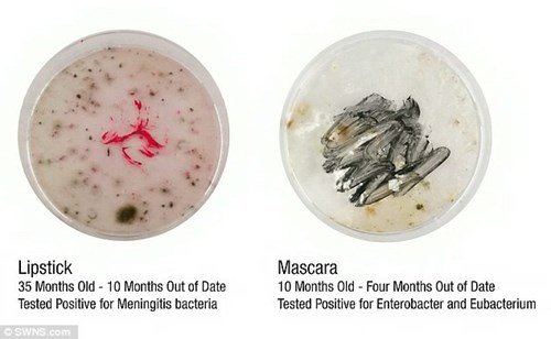 vi khuẩn trong mỹ phẩm 