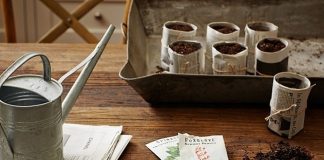 Ươm hạt giống đơn giản với giấy báo cũ 1