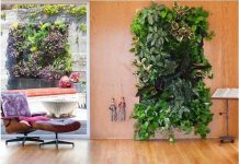 Làm tường thực vật để làm mát nhà vào mùa hè 1