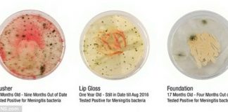 ví khuẩn trong mỹ phẩm 