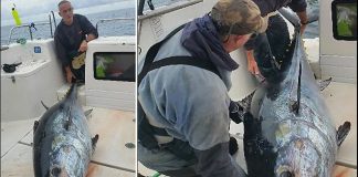 Người đàn ông bắt được "thủy quái" khổng lồ sau 4 giờ vật lộn