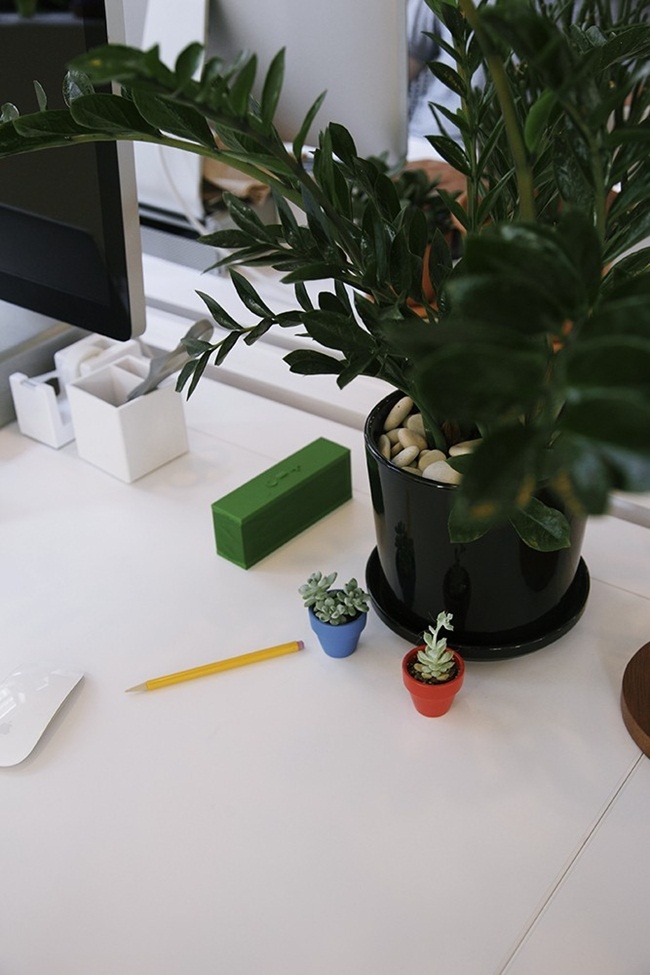 10 mẹo trồng cây tại văn phòng không thể bỏ qua 4