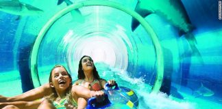 5-mon-the-thao-duoi-nuoc-giup-ban-giam-can-sieu-toc-1