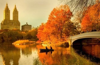 Công viên Trung tâm (New York, Mỹ): Ở đây, mùa thu rất khác lạ bởi ngoài việc được đi bộ trên con đường trải lá vàng, được ngắm những hàng cây nhiều màu sắc, được hít thở những cơn gió mát rượi, bạn còn được cưỡi ngựa, ngắm chim...