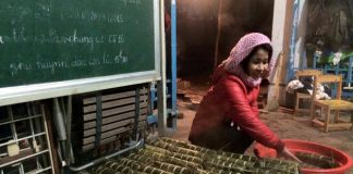 Mẹo chi tiêu Tết với 5,5 triệu đồng cho gia đình 3 người