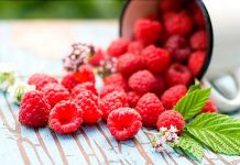 Trồng cây mâm xôi 1