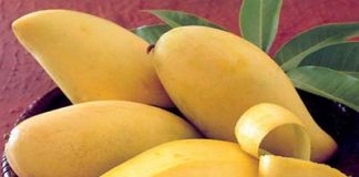 quả ngừa ung thư 