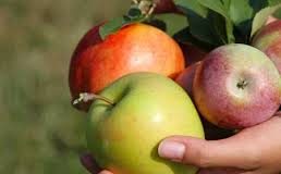 đánh tan mỡ bụng