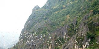 Hút hồn với vẻ đẹp của vịnh không sóng Vân Long