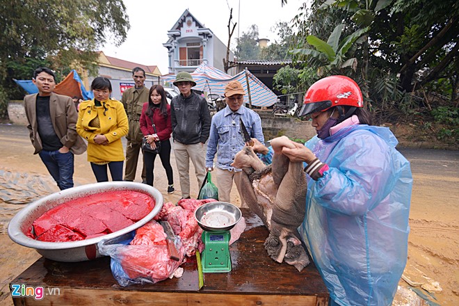 Chích điện, xẻ thịt châu trọi ở Vĩnh Phúc