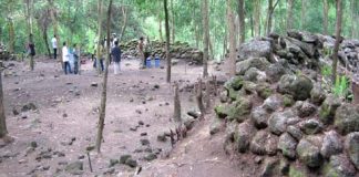 6 thắng cảnh hấp dẫn cho mùa hè ở Quảng Ngãi