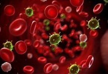 Đông Trùng Hạ Thảo – phương thuốc phòng và trị bệnh tốt nhất cho mọi người