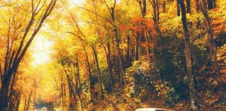 Mê mẩn điểm đến lãng mạn mùa hè ở Mỹ - 10