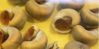 Ốc mỡ xào sa tế cho bữa tối nồng ấm 