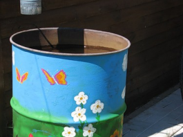 Làm đẹp thùng phi cũ trang trí sân vườn