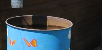 Làm đẹp thùng phi cũ trang trí sân vườn Làm đẹp thùng phi cũ trang trí sân vườn