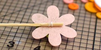 Hoa cúc nở bung góc học tập