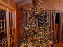 5 phong cách trang trí cây thông giáng sinh - 1