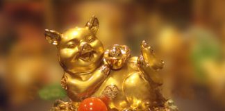 Tuổi và công việc theo con giáp của bạn (P1) - 1