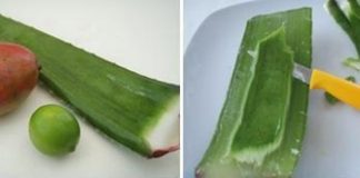 Hướng dẫn làm món tráng miệng từ nha đam - 1