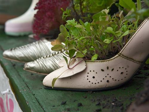 Cách tận dụng giày cũ để... trồng hoa - 16