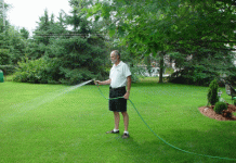 Hướng dẫn chăm sóc cây cảnh và bãi cỏ Archi - Chăm sóc cây cảnh và bãi cỏ trước khi đông tới