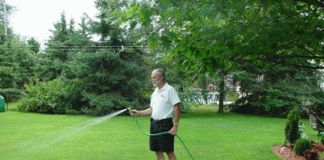 Hướng dẫn chăm sóc cây cảnh và bãi cỏ Archi - Chăm sóc cây cảnh và bãi cỏ trước khi đông tới