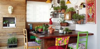 Những cây xanh thích hợp đặt ở phòng ăn